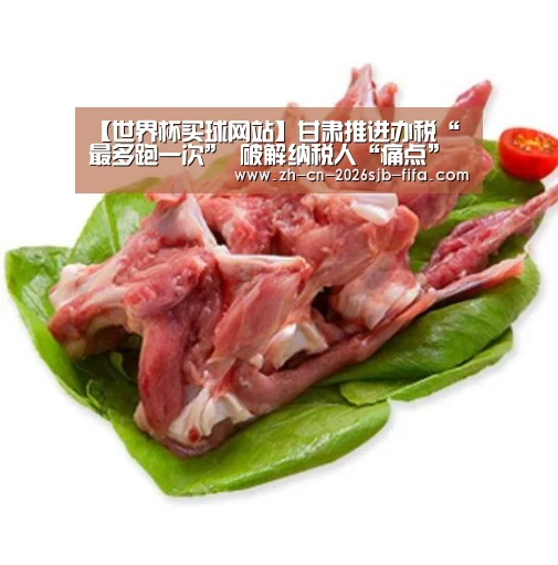 【世界杯买球网站】甘肃推进办税“最多跑一次” 破解纳税人“痛点”(图4) 世界杯外围买球