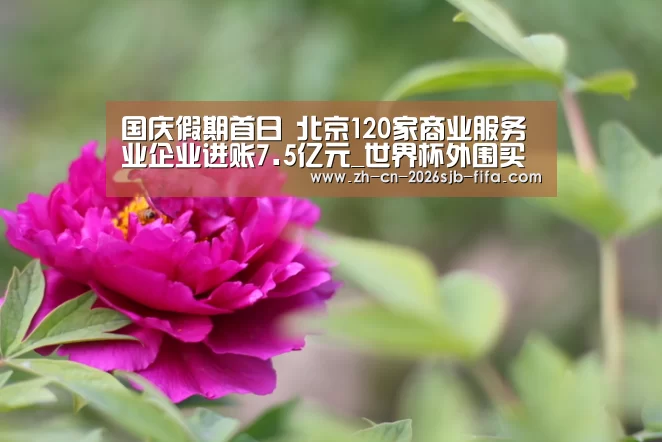 世界杯买球网站
