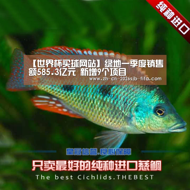 【世界杯买球网站】绿地一季度销售额585.3亿元 新增9个项目(图1) 世界杯外围买球