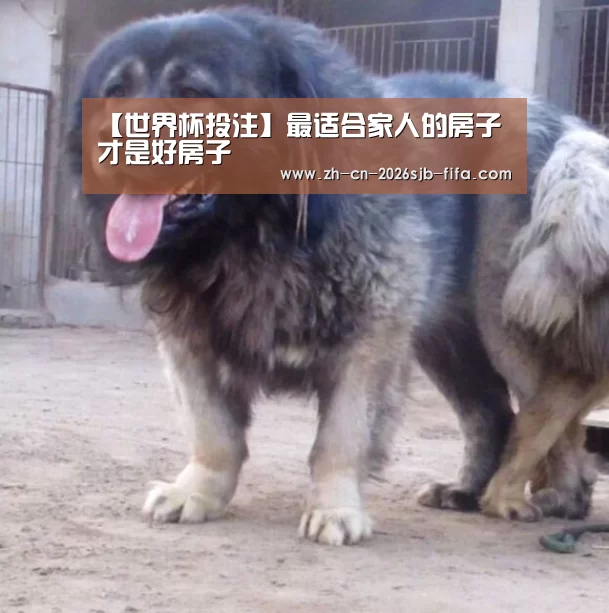 【世界杯投注】最适合家人的房子才是好房子(图3) 世界杯买球网站