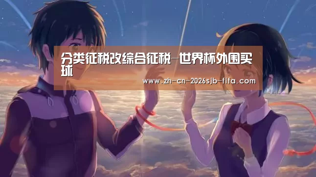 分类征税改综合征税-世界杯外围买球(图1) 2026世界杯