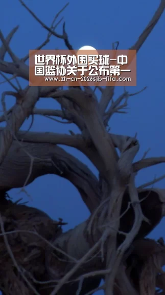 世界杯外围买球-中国篮协关于公布第一批“小篮球”推广大使名单的函(图2) 世界杯投注