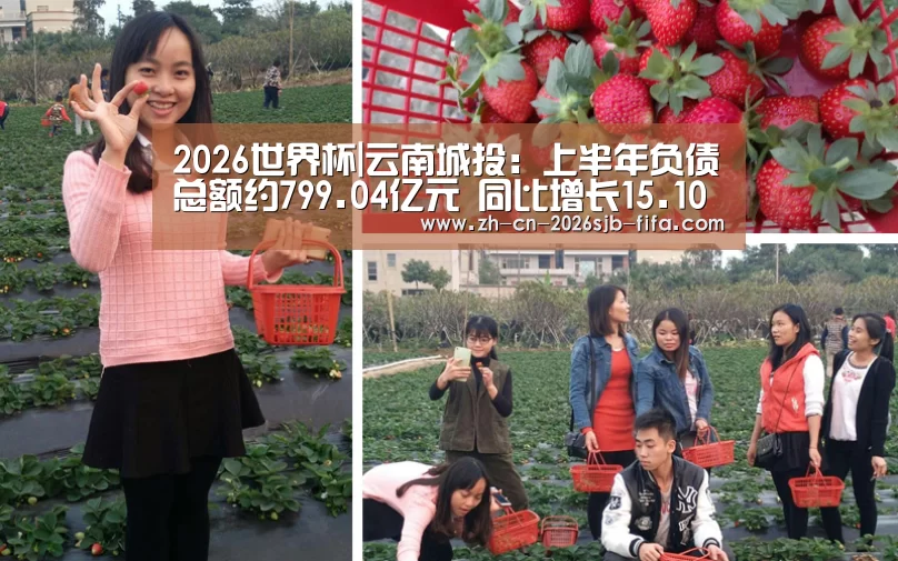 2026世界杯|云南城投:上半年负债总额约799.04亿元 同比增长15.10%(图2) 世界杯投注