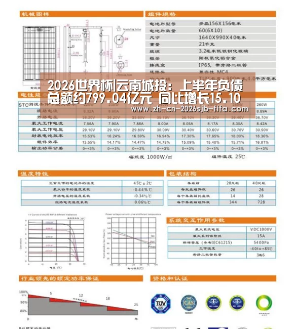 2026世界杯|云南城投:上半年负债总额约799.04亿元 同比增长15.10%(图3) 2026世界杯